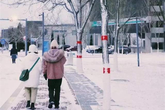 辽宁省高校（三十一）大连医科大学