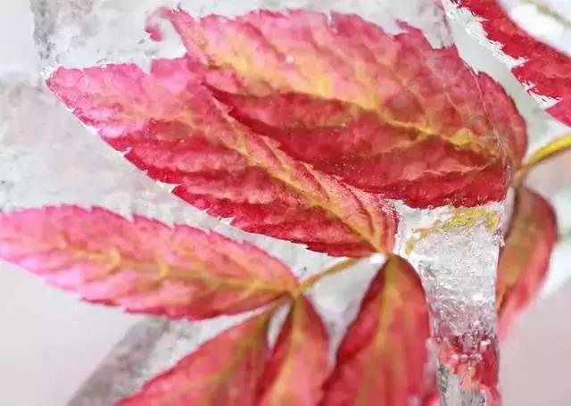 广西最想去的地方,广西最想去的8个地方