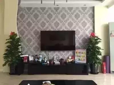 客厅吸附甲醛植物,客厅适合摆什么植物又可以去甲醛