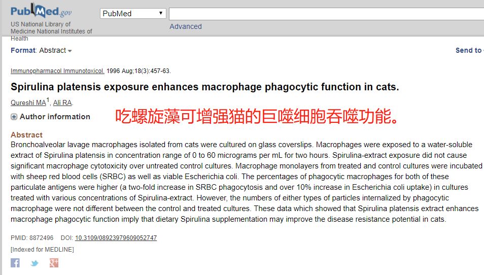 猫狗增加抵抗力的药,猫狗抗病毒的药有哪些