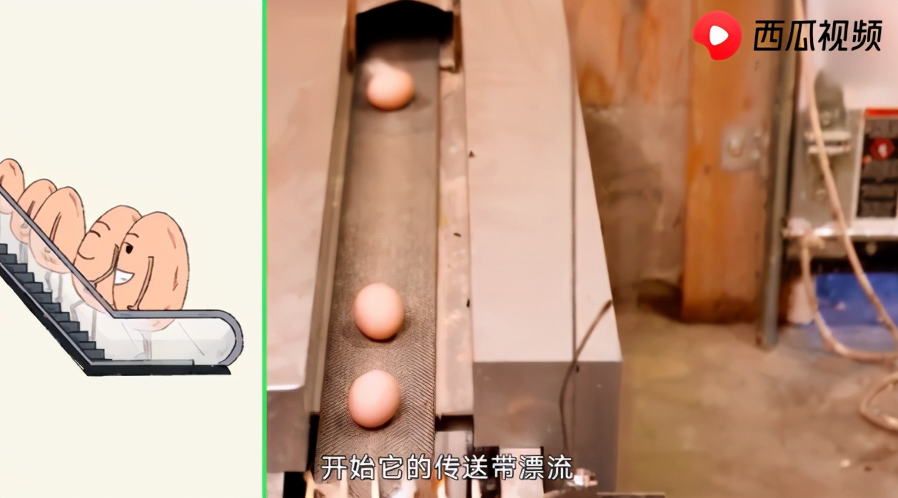 鸡蛋到底能不能多吃,鸡蛋虽是优质蛋白但要少吃