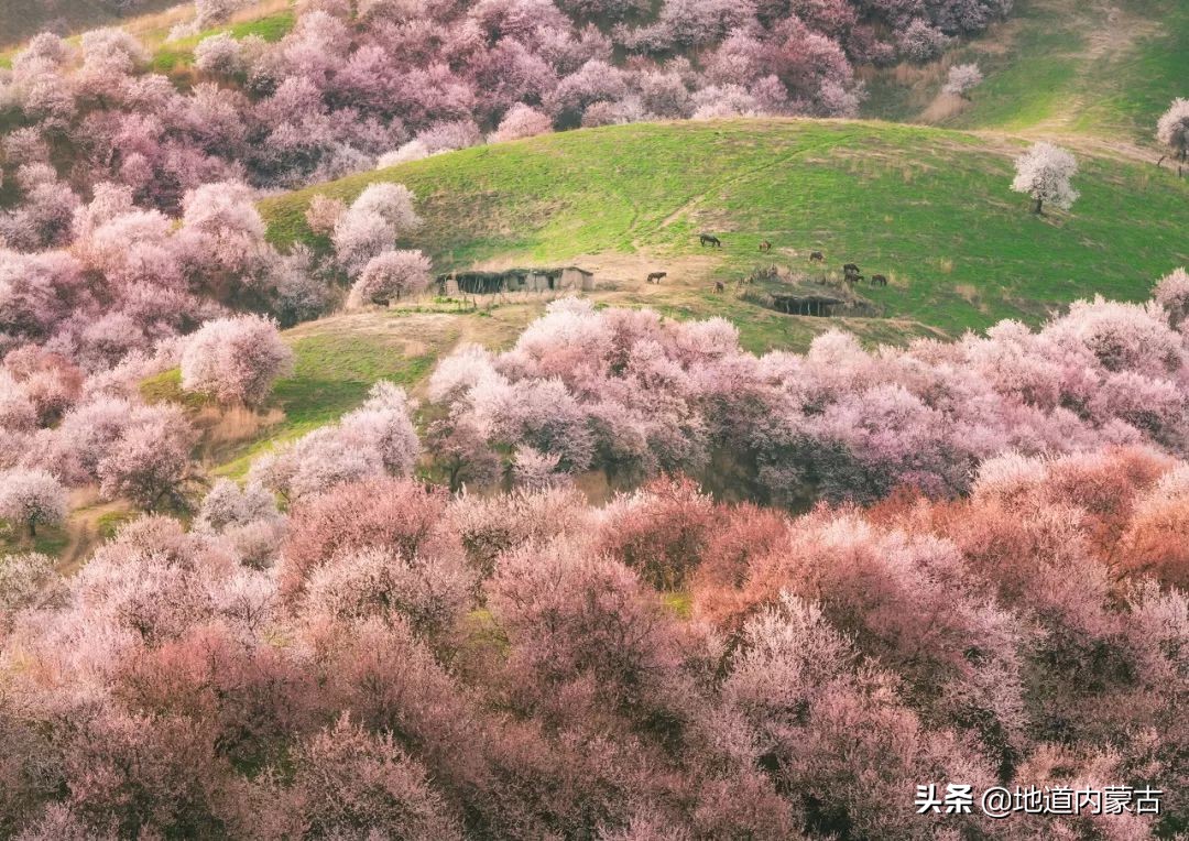 60岁之前要去的十大地方,一生中必去的中国50个最美的地方