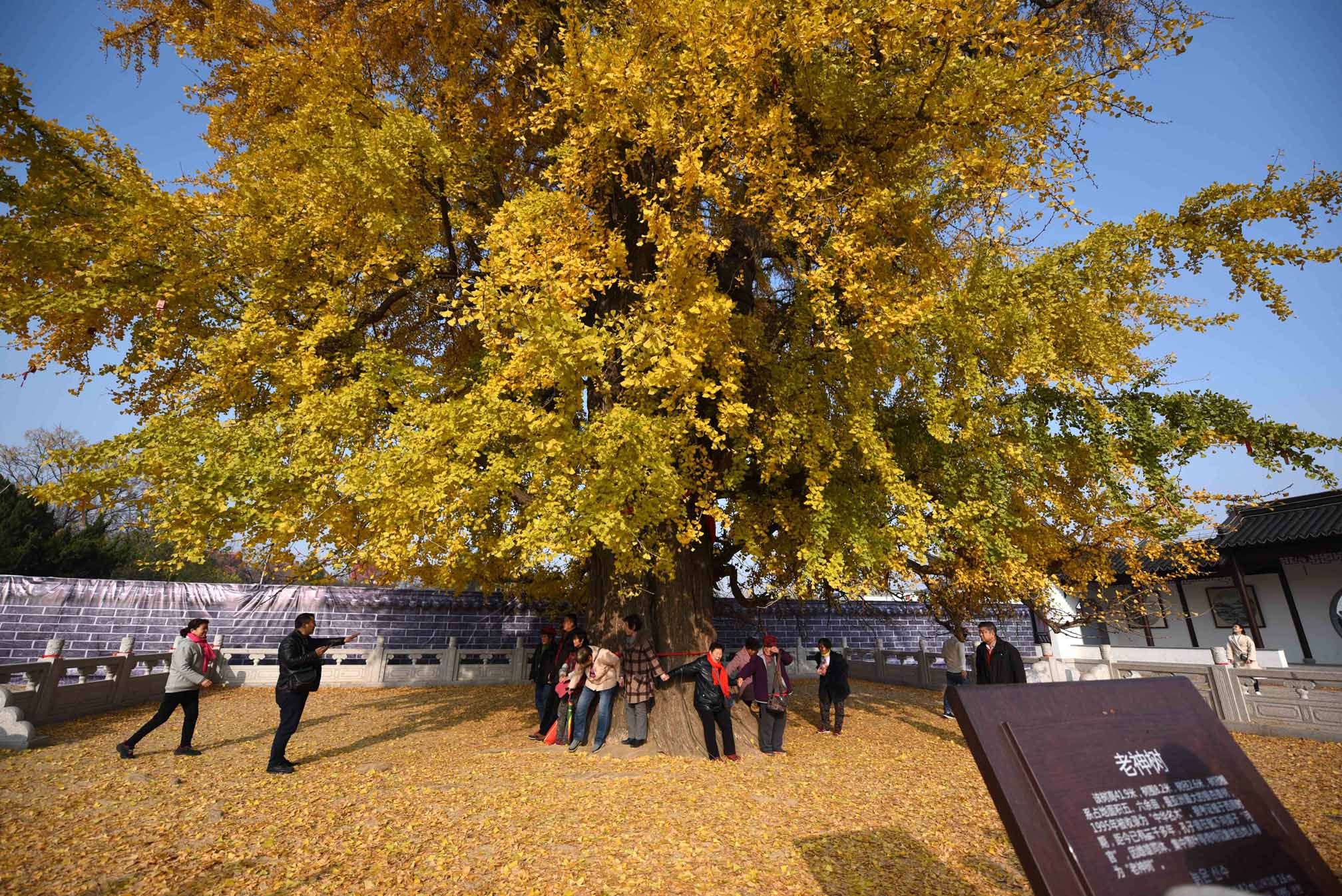 苏北鲁南交界处新沂郯城,郯城往事记忆中的郯城