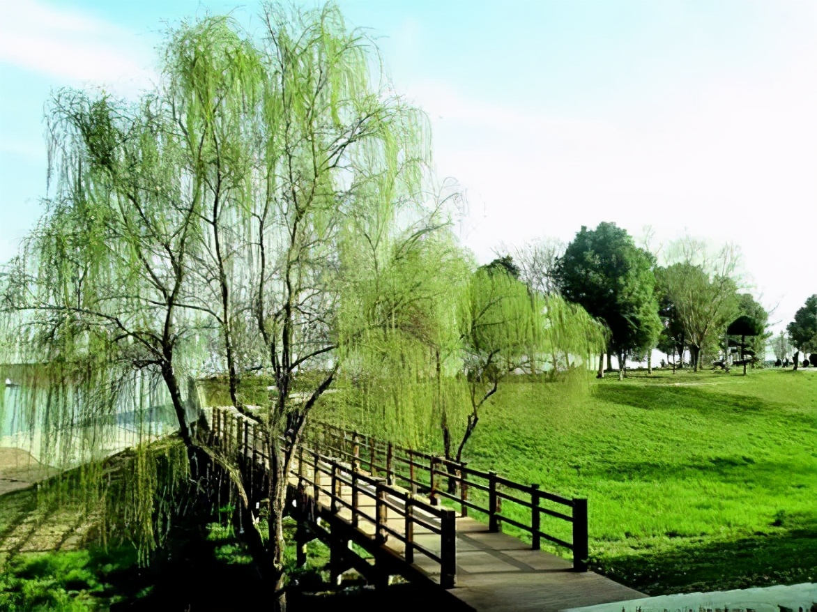 荆楚文化优美诗句,关于湖北的诗句有哪些