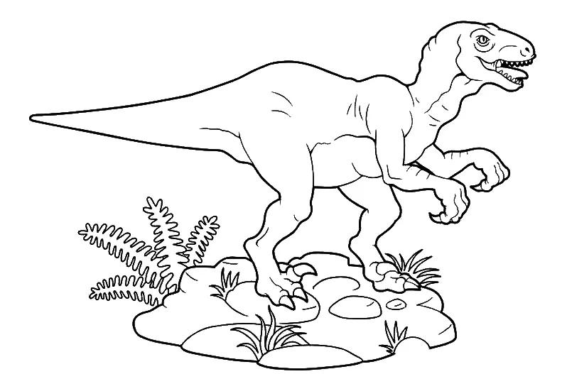 恐龙简笔画怎么才能画好看,儿童简笔画恐龙大全简单又漂亮