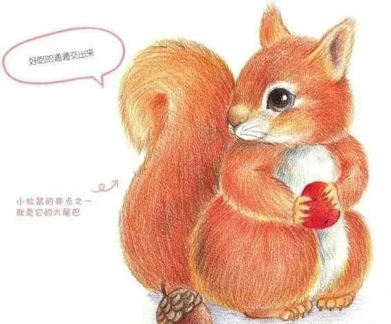 彩铅可爱的小松鼠,彩铅画可爱动物飞鼠