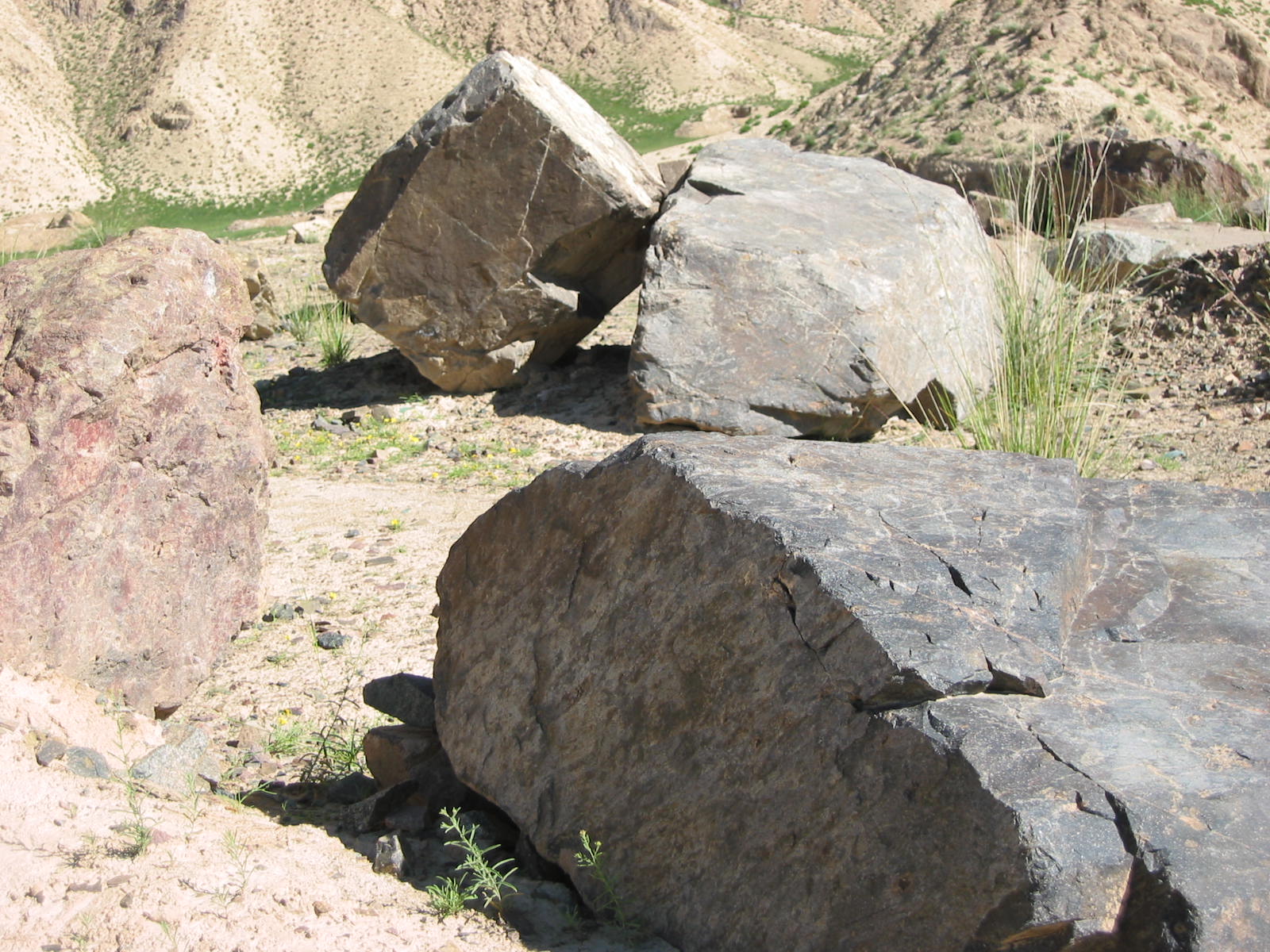 青海都兰吐蕃大墓发掘记,青海都兰墓群