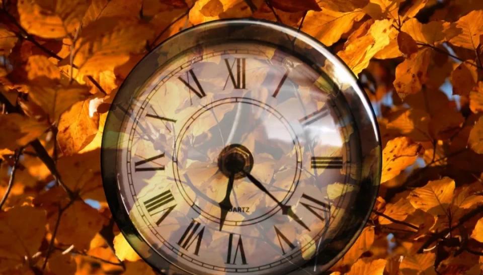 知道褪黑素是干嘛的吗,有没有人知道褪黑素