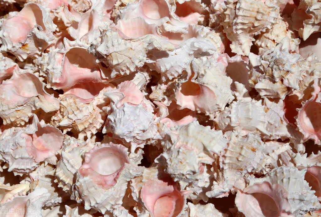 文创产品与旅游市场现状,旅游文创商品的概念