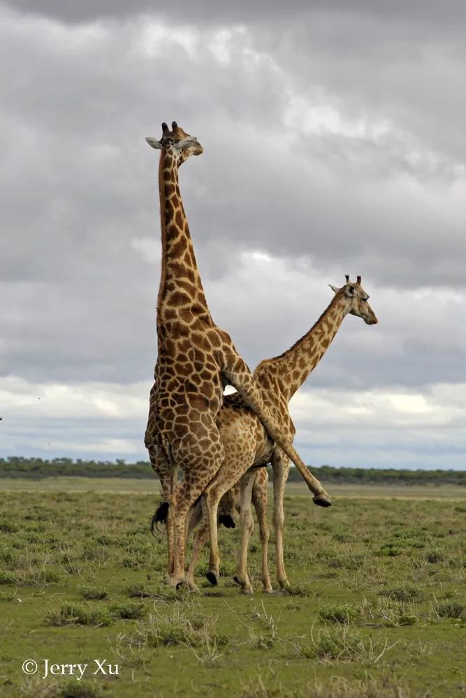 情人节,就该和爱的人*爱做**做的事