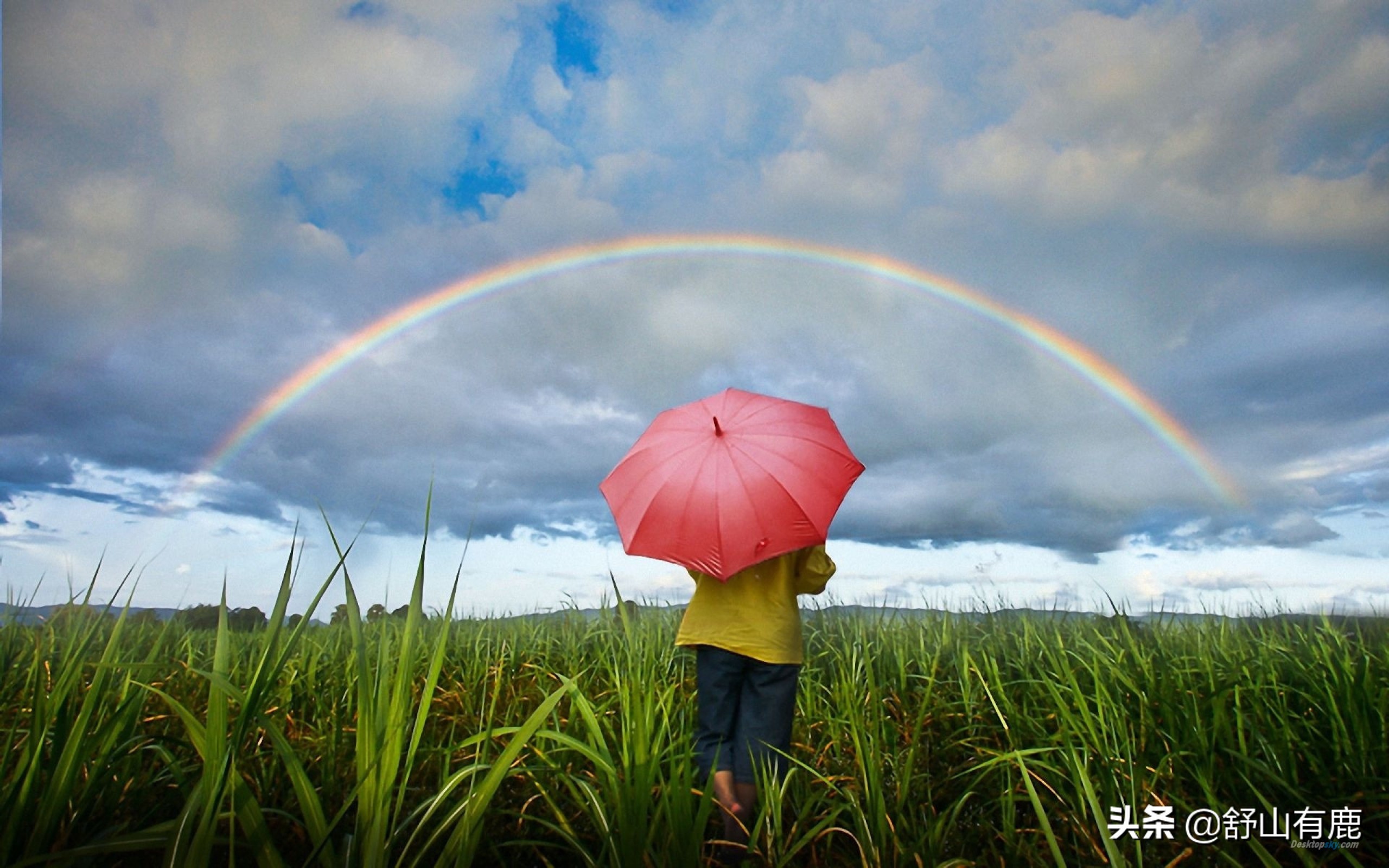 姥姥的点拨经典句子,姥姥的告诫