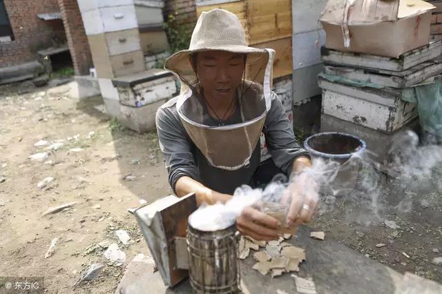 蜂箱有虫子怎么办,蜂箱壁上有很多蜂是怎么了
