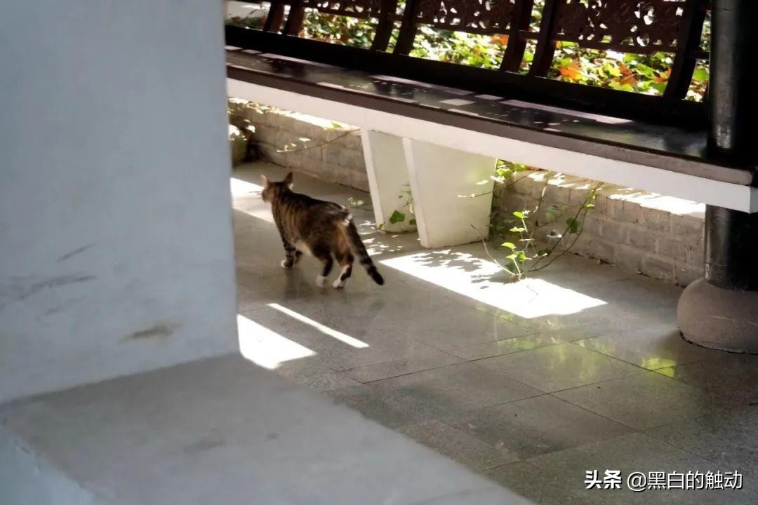 合肥包拯家乡旅游,安徽包公祠里面有什么景点