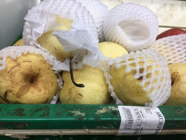 去迪拜旅游看什么东西,去迪拜旅游看到哈利法塔