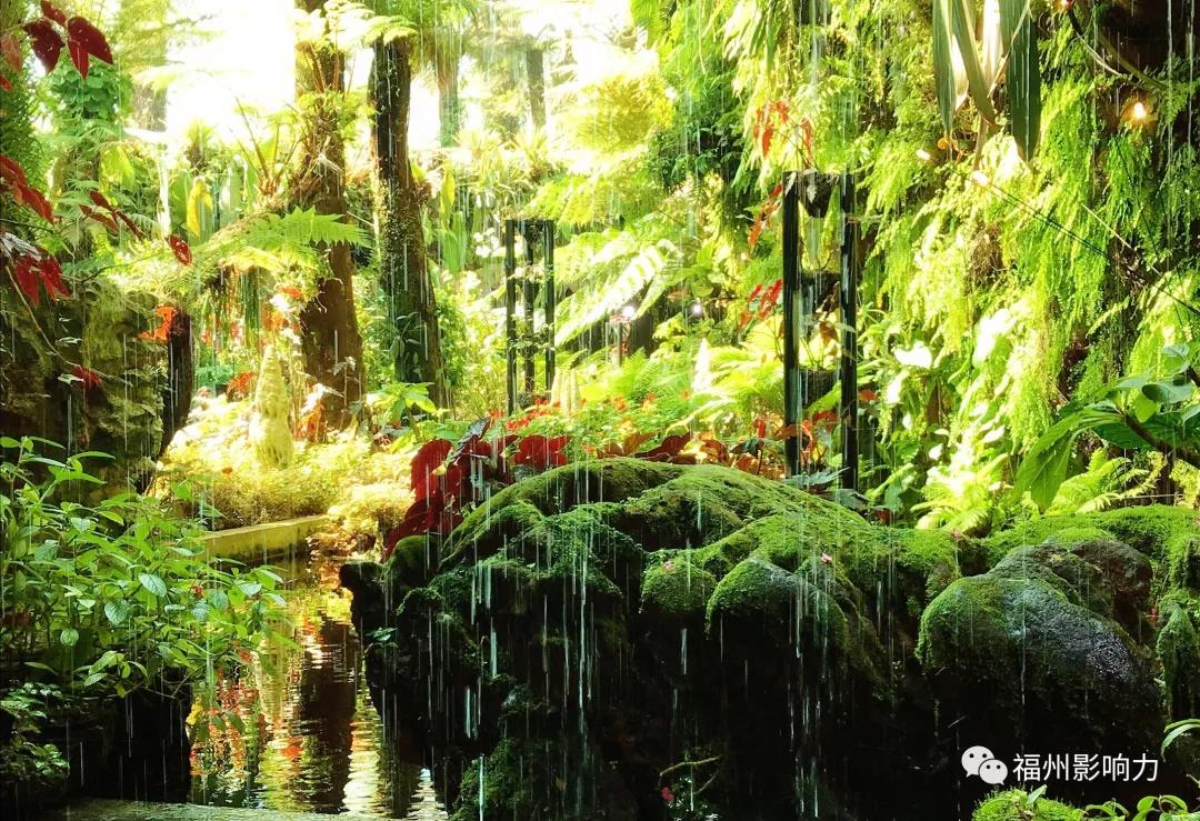 酷航a320飞行体验,酷航空客a320-200neo