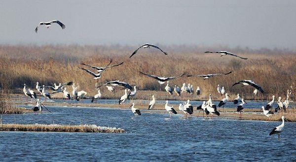 山东莱芜车牌号是什么字母,山东省十七地市车牌号