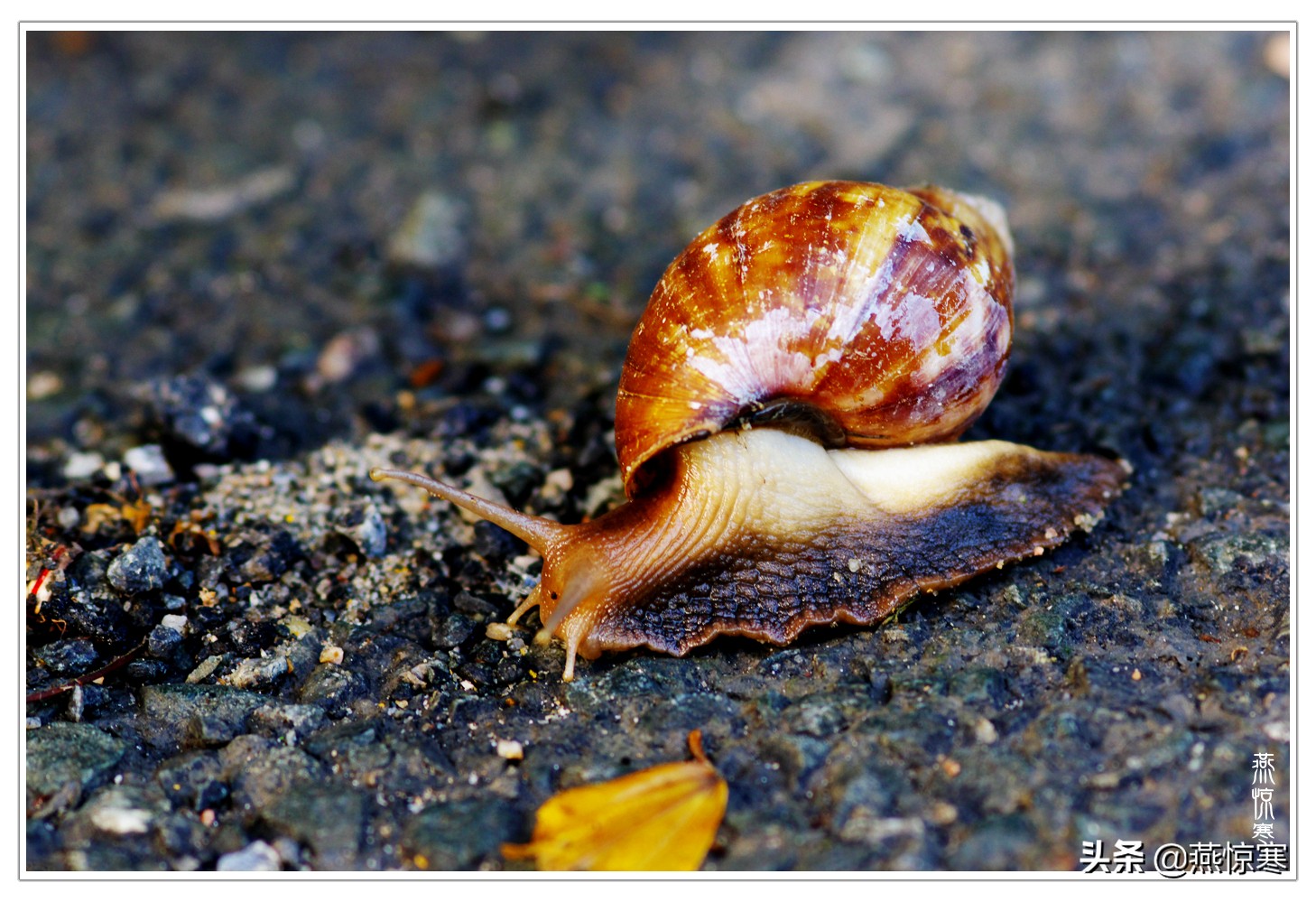 宾得相机配理光的镜头,宾得理光镜头推荐