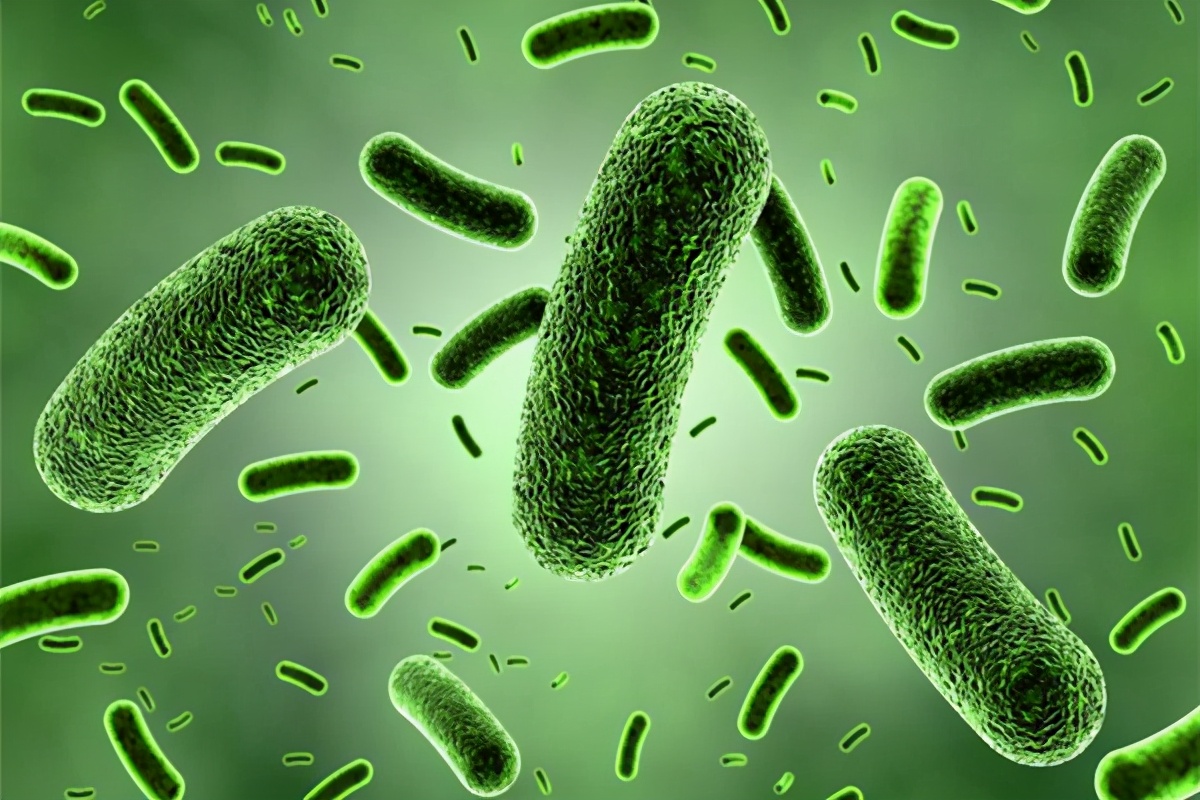 年轻人患萎缩性舌炎,萎缩性舌炎的鉴别诊断