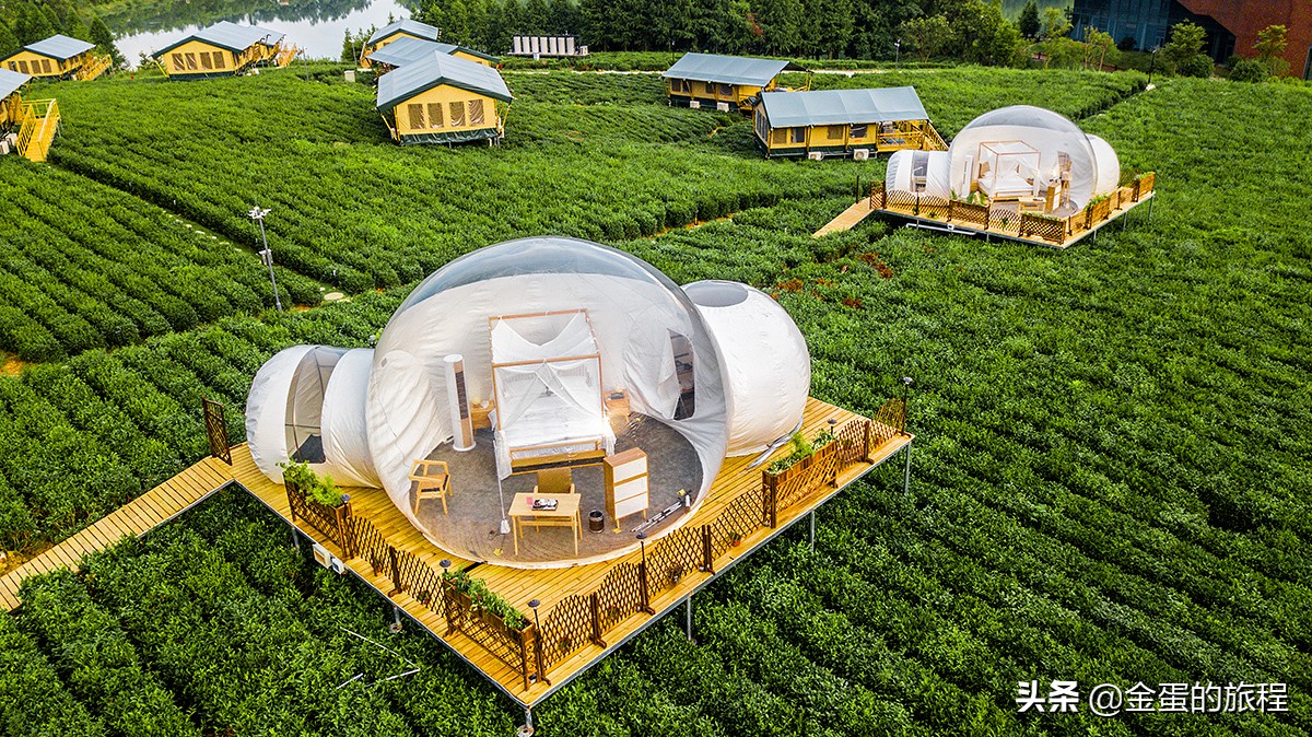 我们很弱小,根本玩不过携程等大型酒店预订平台的数据杀熟