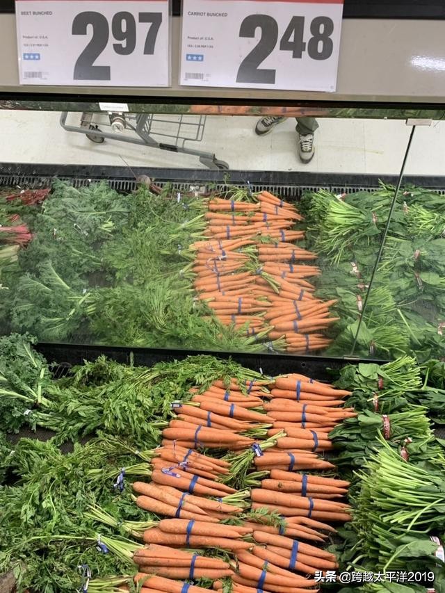 加拿大多伦多costco购物必买 (加拿大必买超市)