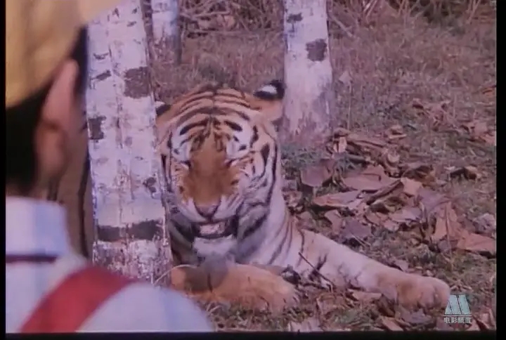 《力王》,《人蛇大战》你还记得那些“少儿不宜”的电影吗?