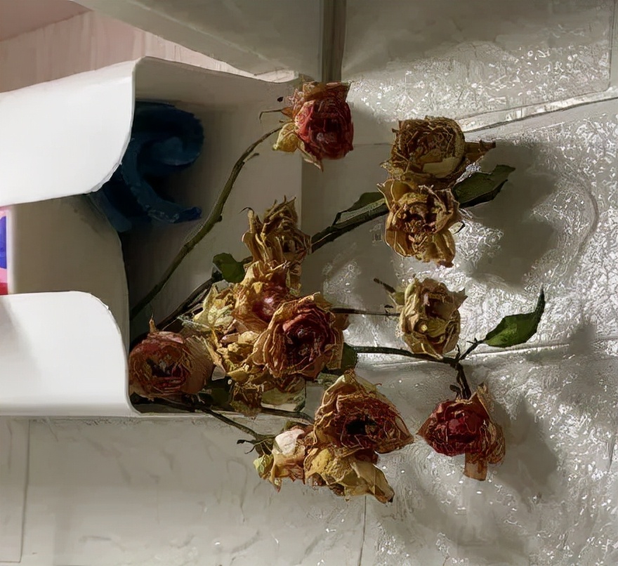 没去过新疆好吗,没去过新疆要注意啥