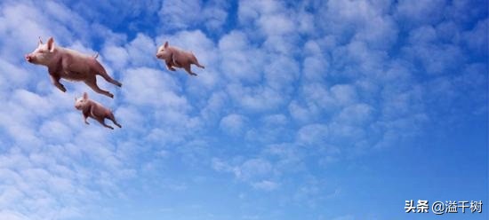 st雏鹰能不能不退市,st雏鹰最新消息