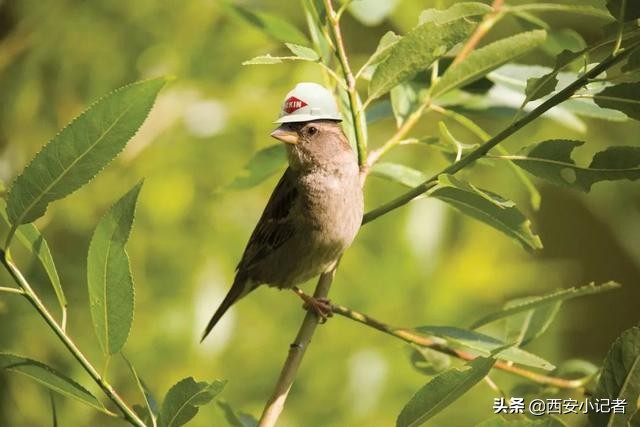 广告设计欣赏！浅显易懂的创意脑洞