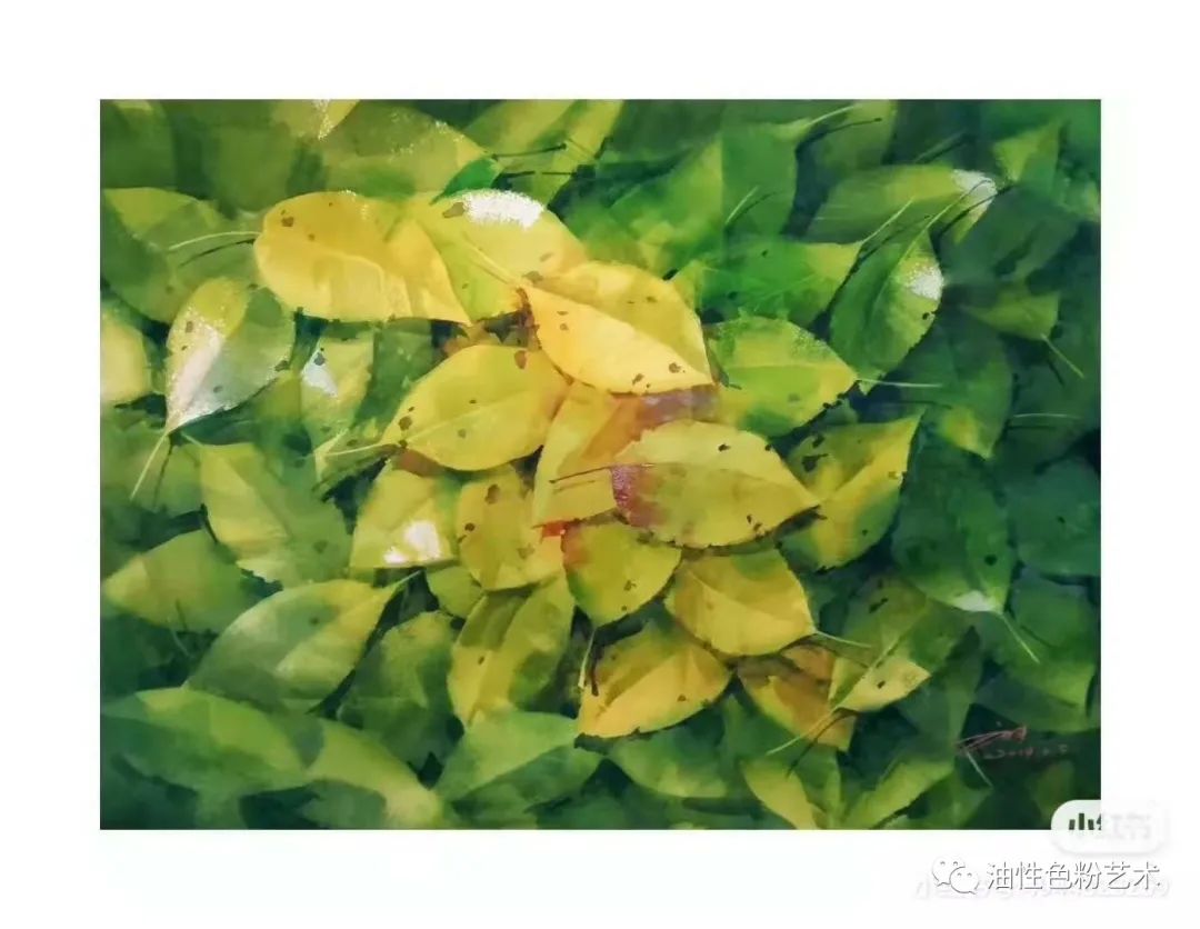 刘丰最新讲座,刘丰专访完整版