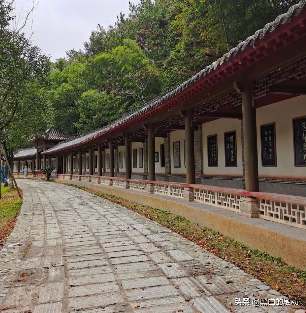 景德镇为什么能成为御窑,瓷都景德镇瓷器