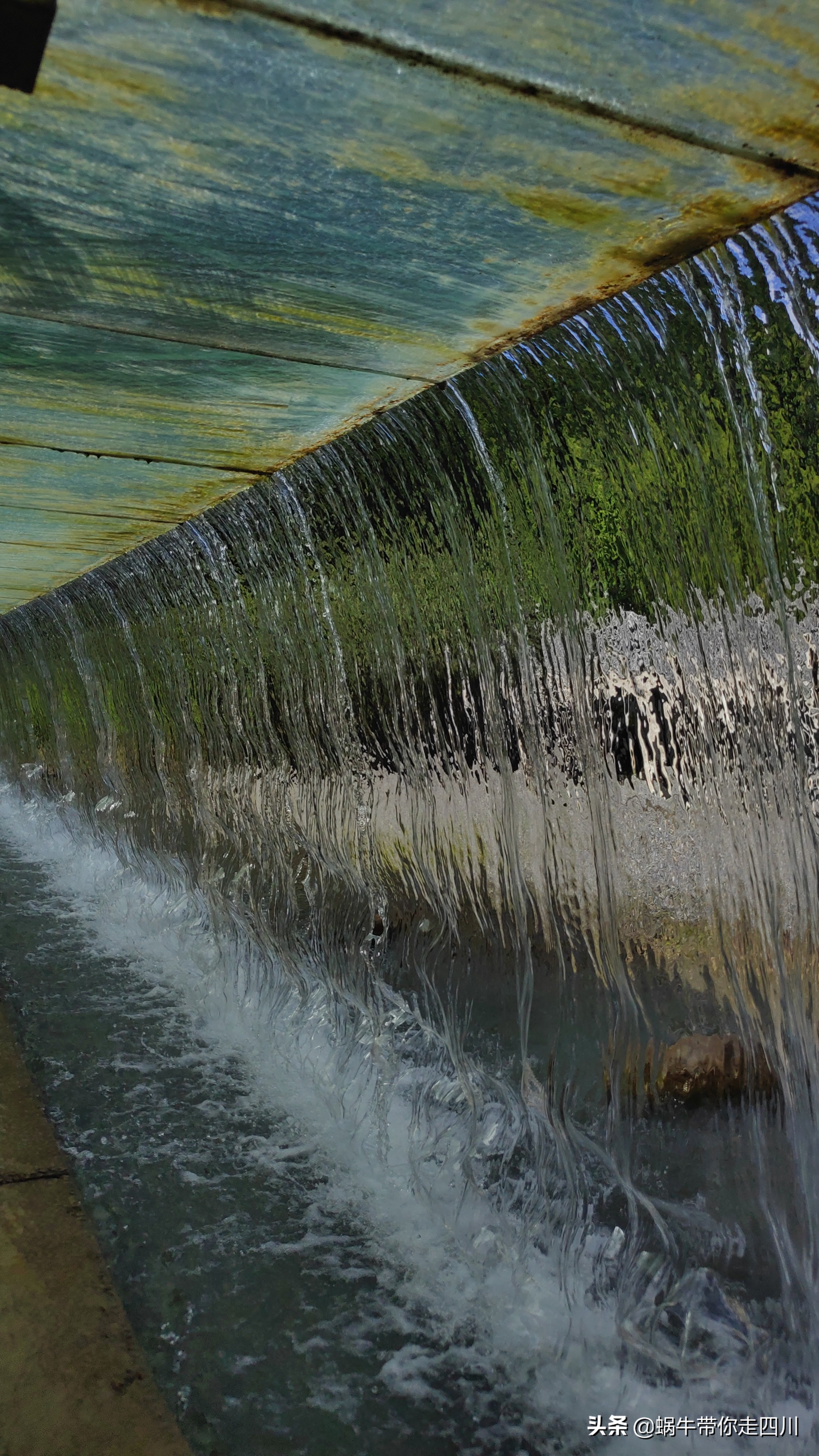 带小朋友出去看小动物,带小孩去海洋动物园