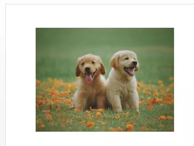 不用ps怎么做图,不用ps如何做修图工作