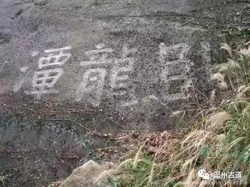 温州茶山卧龙潭,温州卧龙峡风景区