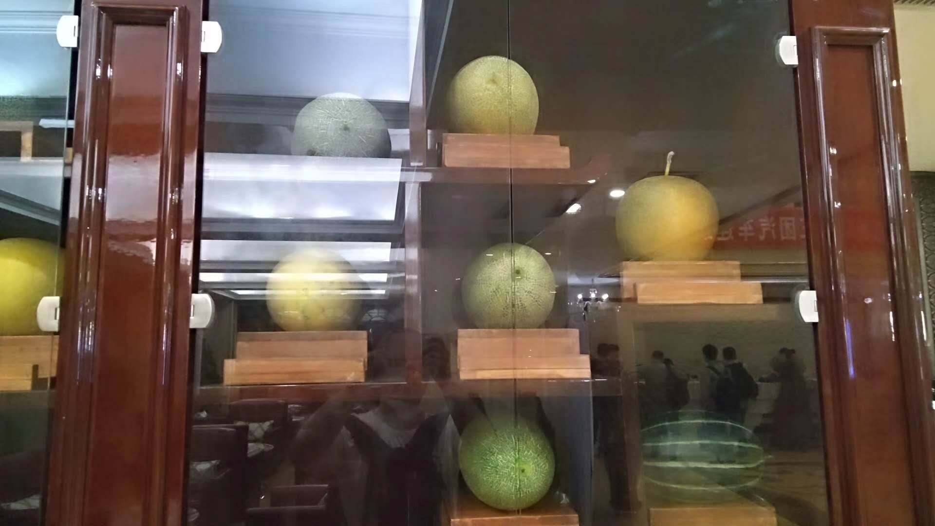 哈密市区是怎样的,哈密地区是哪