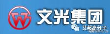 厉害的车灯企业,国内新兴车灯供应商