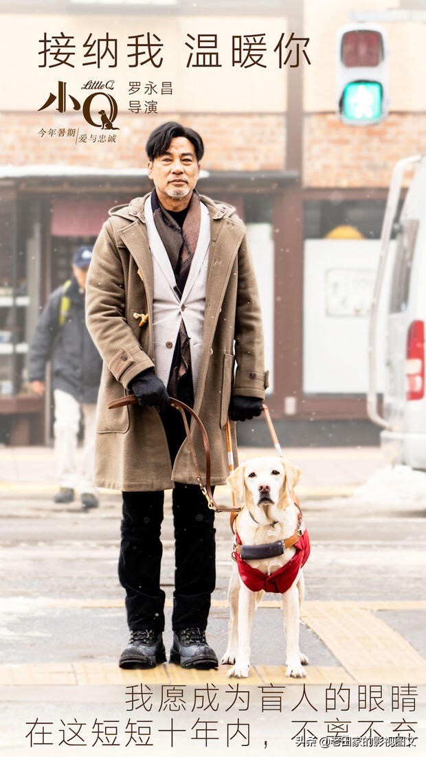 新版神雕侠侣为什么没有耶律齐,83版神雕侠侣刘德华版耶律齐