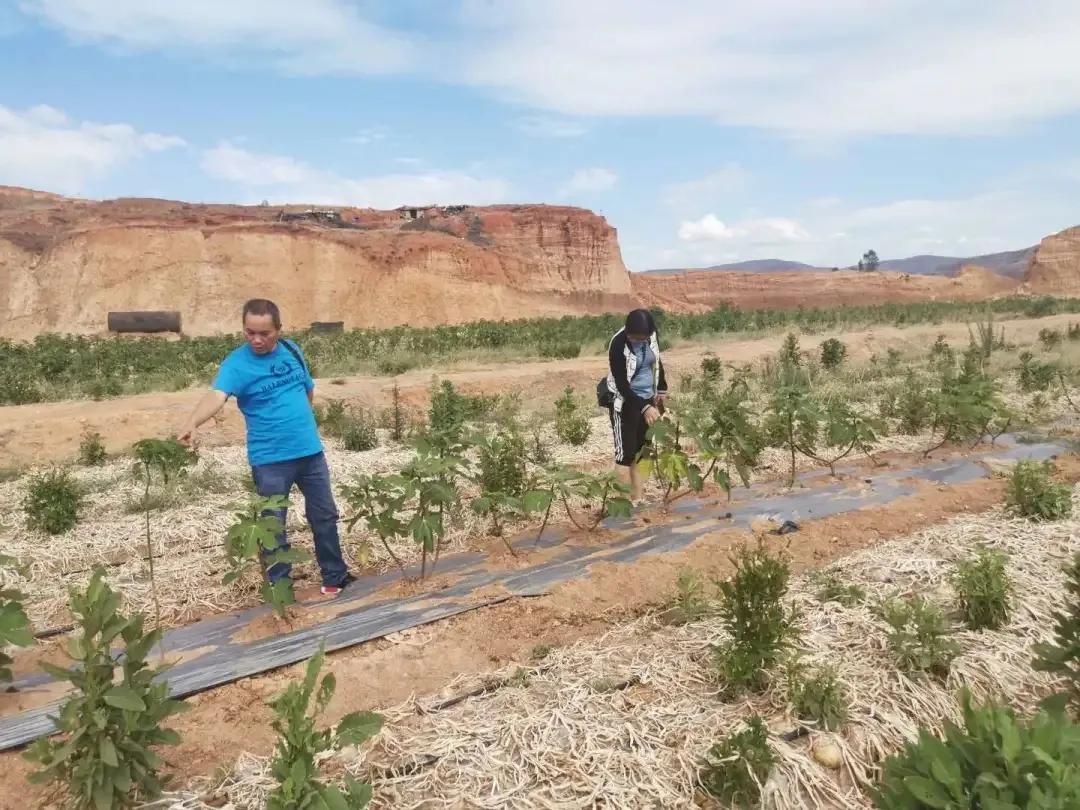 公益林毁坏如何处理,关于林地被破坏的情况通报