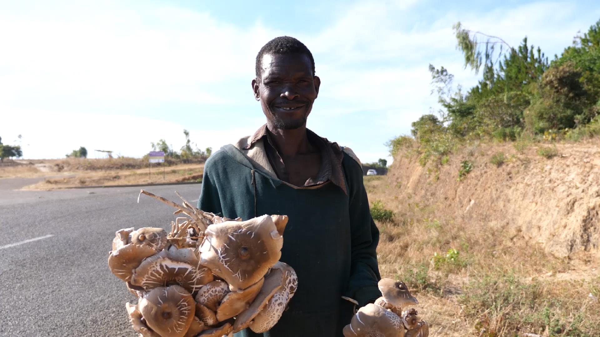 真实航拍非洲最穷国家，大片耕地牛羊成群，和想象的非洲完全不同