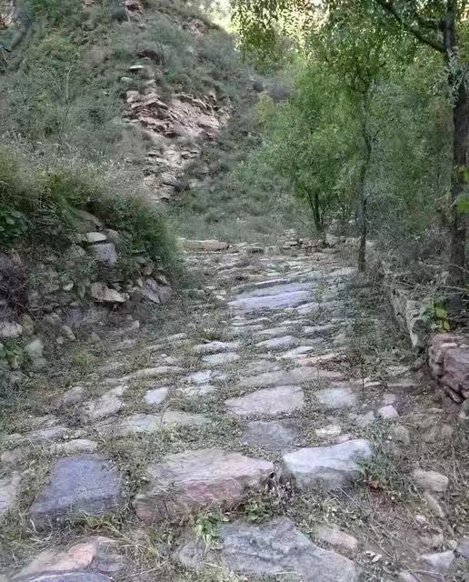 无地可种的农民怎么办,无田无地照样搞农业