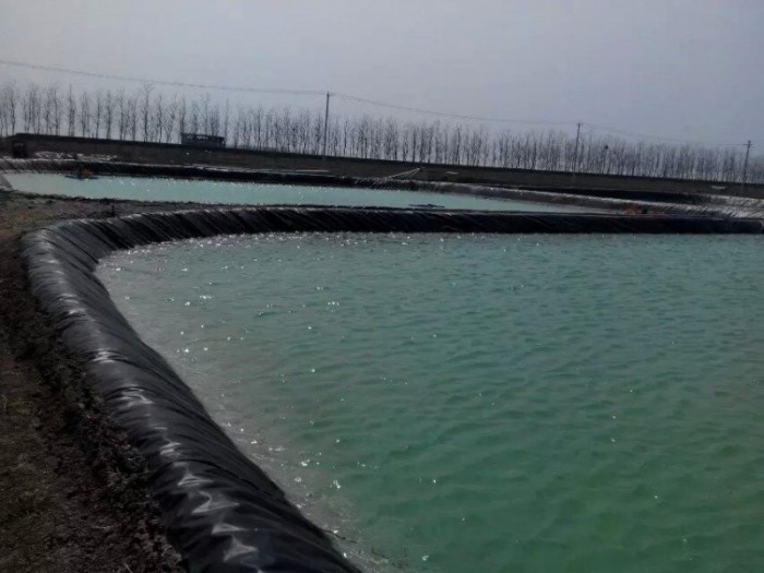 鱼塘专用防渗膜价格是多少,鱼塘防渗膜批发价格