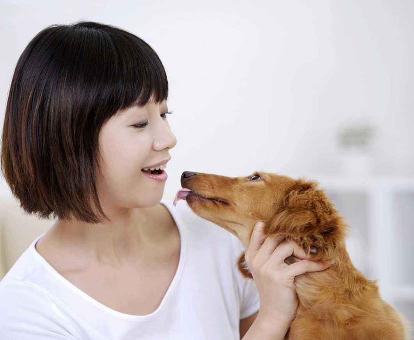 布偶猫夏天掉毛严重怎么办,夏天猫掉毛很厉害怎么办