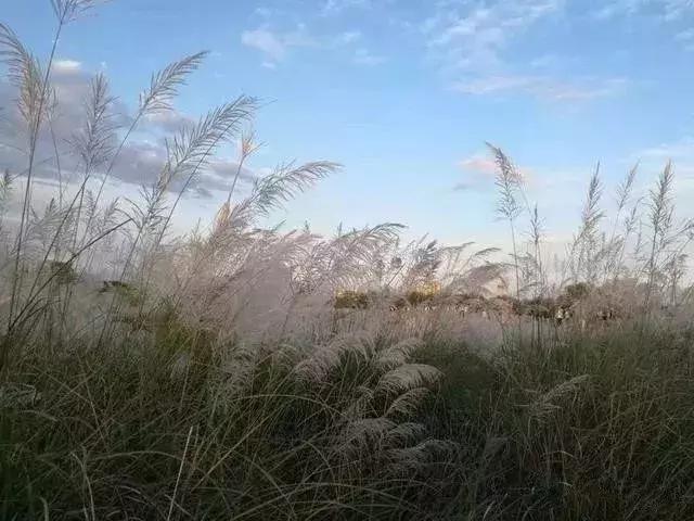 汉台半日游,汉台区一日游