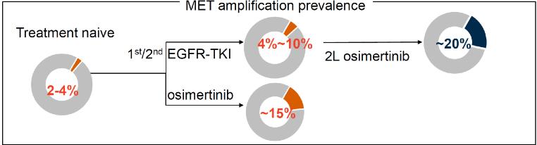 肺癌罕见突变,met14突变肺癌临床数据