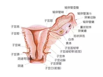 妇科炎症对宝宝有影响么,妇科炎症怎么办才能彻底消除