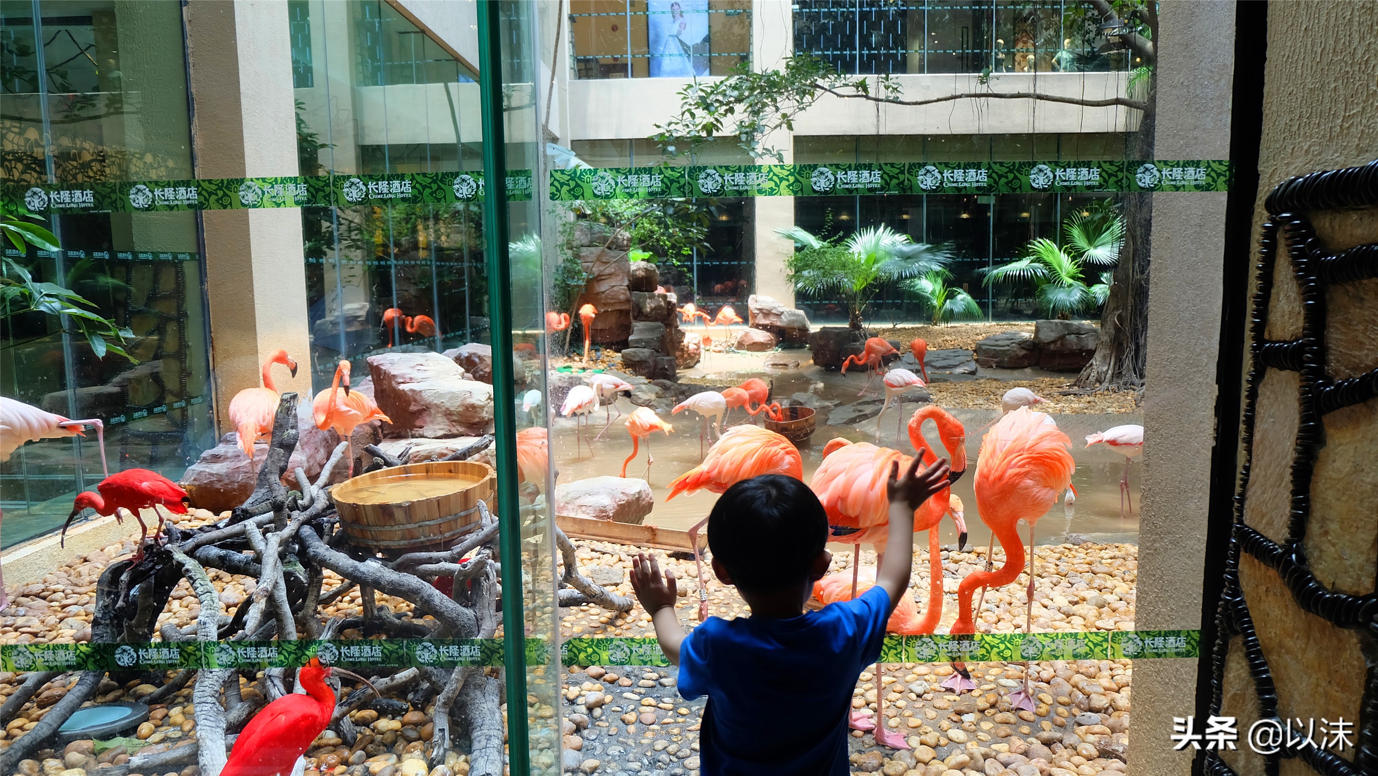 长隆野生动物世界游玩攻略,长隆野生动物世界带娃攻略