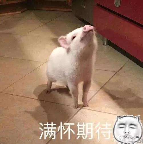 别舔屏非洲“刘亦菲”了!非洲“黑尾酱”爆红,颜值打破吉尼斯