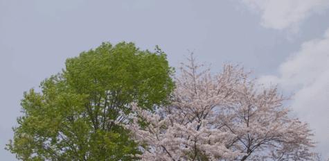 豆瓣评分最高的前10部电影,豆瓣评分前十的十部电影