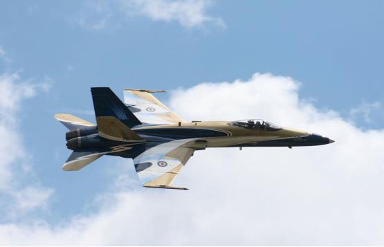 大黄蜂有几种升级版,a-18大黄蜂战斗攻击机