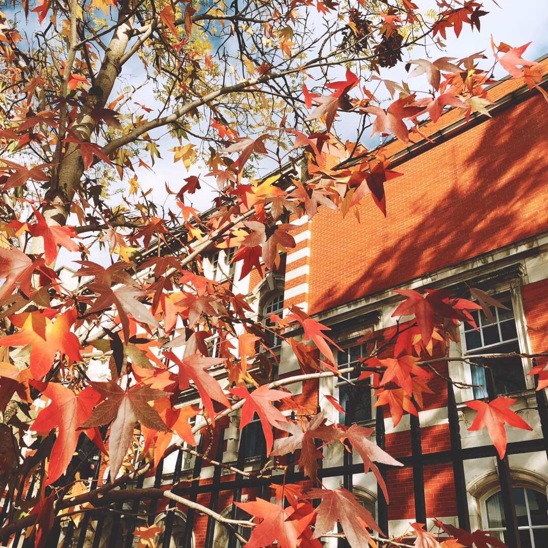 曼彻斯特大学是顶尖大学吗,曼彻斯特大学属于英国哪个地区