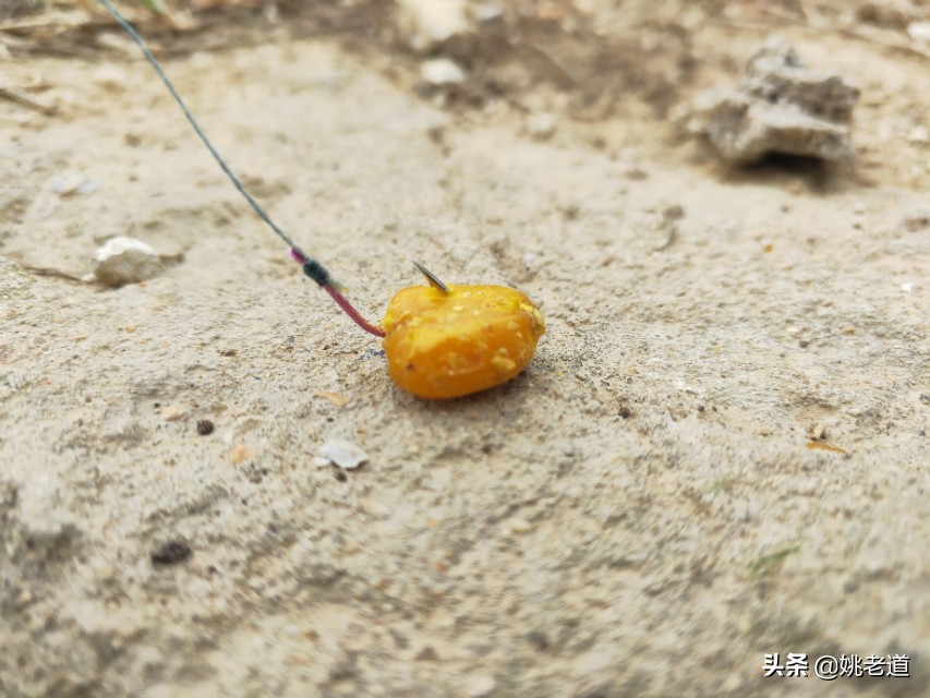 单钩通线野钓钓鱼钩要悬空吗,野钓时子线双钩缠绕小编给你支招